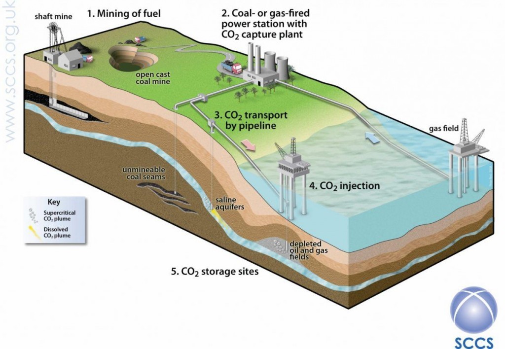 Diagram of carbon capture and storage life cycle.