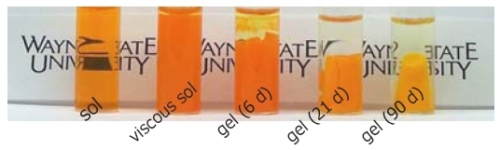 sol Formation of a Gel from Cadmium Sulfide Nanoparticles