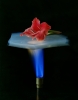 Classic Aerogel Photos